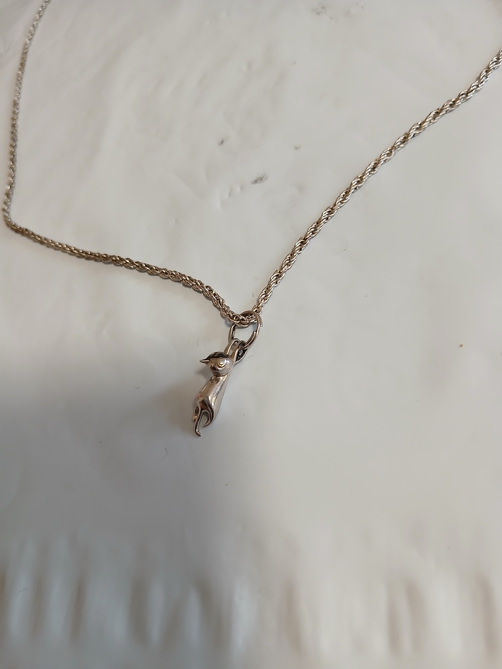 Classic Silver Rope Chain Necklace with Pendant - Women Jewelry - Picture 2 of 4